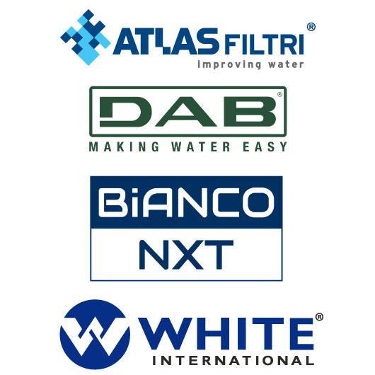 White® International